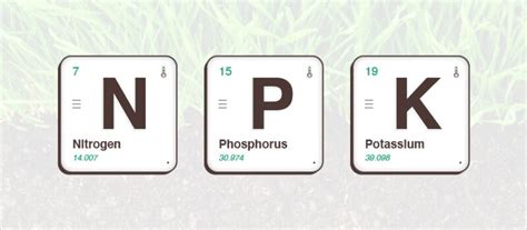 Schéma illustrant les trois nutriments principaux : Azote, Phosphore et Potassium