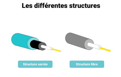 Schéma technique montrant la compatibilité entre les différents diamètres de fil et les têtes de débroussailleuse