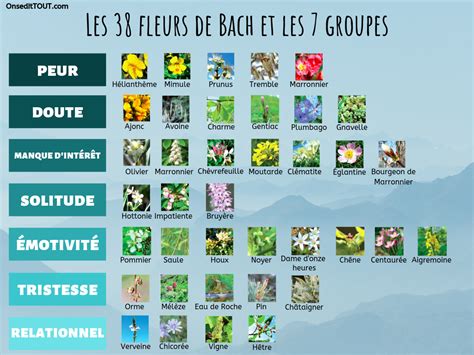 schéma illustrant la prise de gouttes de fleurs de Bach
