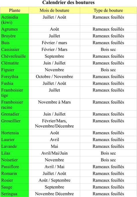 Calendrier des périodes de bouturage du chèvrefeuille