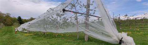 Graphique montrant les périodes de pose des filets anti-insectes en fonction des ravageurs et de la floraison