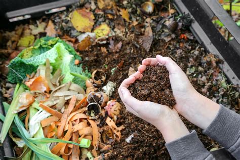 Illustration montrant l'utilisation du compost au jardin au printemps.