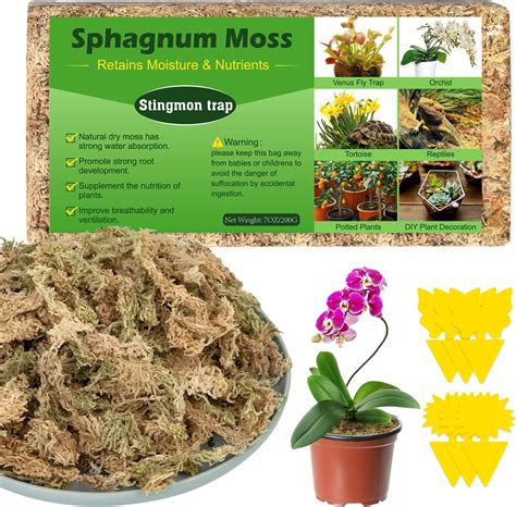 Mélange pour plantes carnivores avec sphaigne
