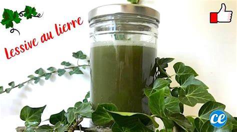 Bouteille en verre remplie de lessive au lierre avec une étiquette