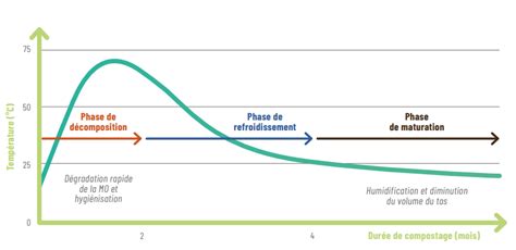 Diagramme illustrant les différentes phases de température du compostage traditionnel