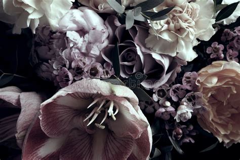 Fleurs variées en gros plan