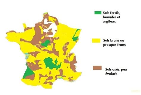 Carte simplifiée montrant les types de sols et les fumiers recommandés