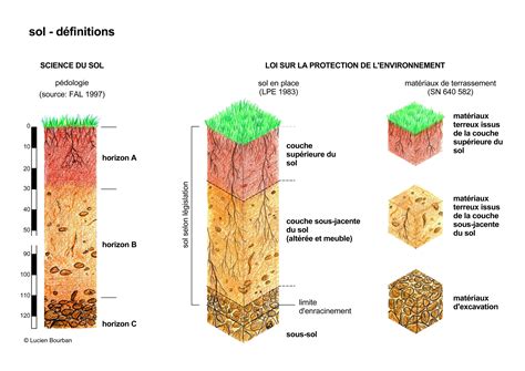 Schéma montrant les différentes couches du sol et leur composition