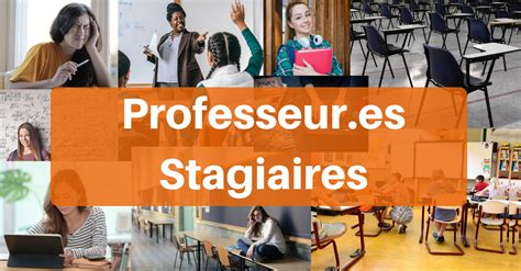 Infographie : Conseils pour professeurs stagiaires