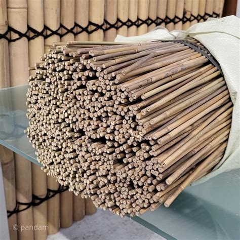 Comparaison visuelle de différents matériaux de tuteurs (bambou, bois, métal, fibre de verre)