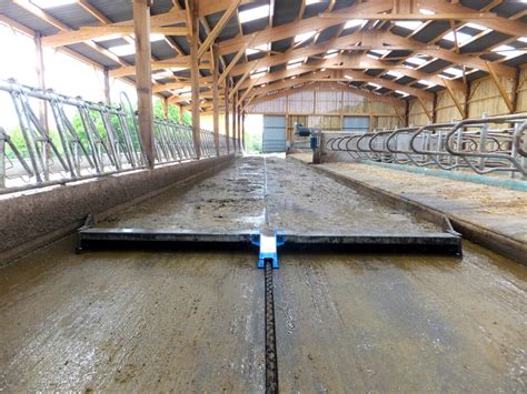 Conteneur à fumier mobile dans un couloir d'écurie