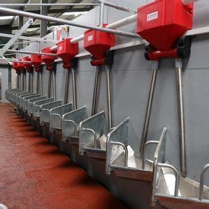 Système de distribution d'aliments par trappes sur la façade d'un box