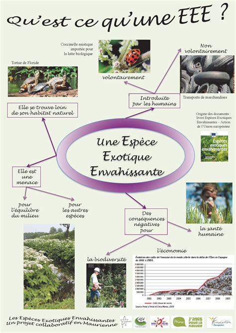 Infographie présentant les différentes réglementations sur les espèces exotiques envahissantes