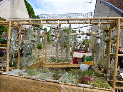 Aperçu d'un stand de plantes rares