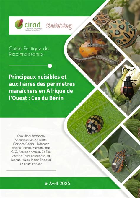 Infographie : Identifier les principaux nuisibles du lierre et solutions naturelles