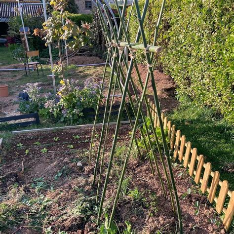 Schéma illustrant une structure de tipi pour haricots avec des perches espacées et une base de 90 cm de diamètre