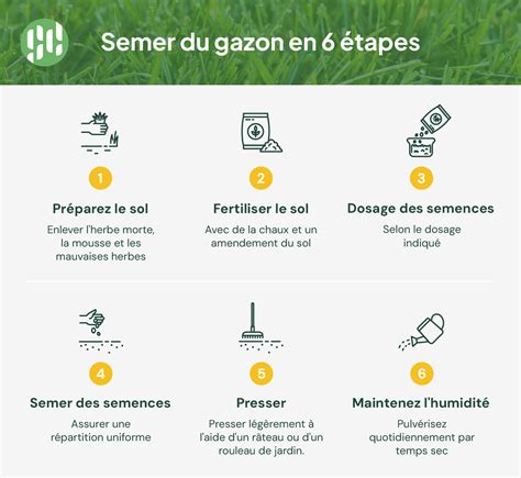 Schéma comparatif des coûts de mise en place : gazon naturel à semer vs gazon en rouleaux vs synthétique