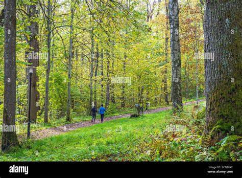 personnes marchant dans un sentier naturel