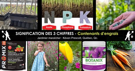 Infographie comparant les besoins en engrais des plantes fleuries, potagères et gazon