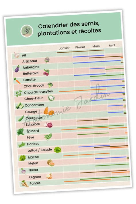 Calendrier du bouturage de la vigne