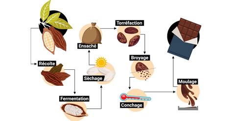 Infographie expliquant le processus 