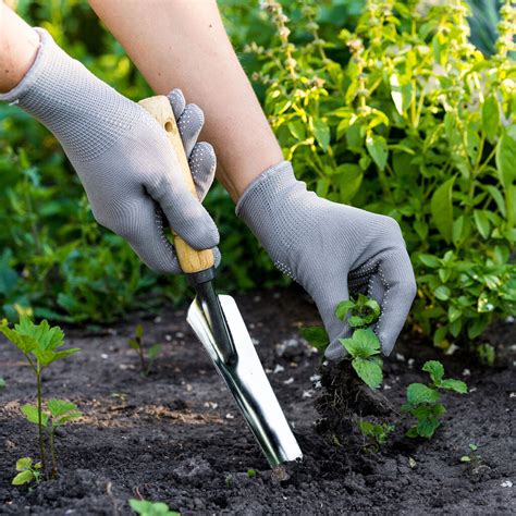 Illustration représentant une comparaison entre le désherbage manuel traditionnel et l'application moderne d'herbicides dans une culture céréalière