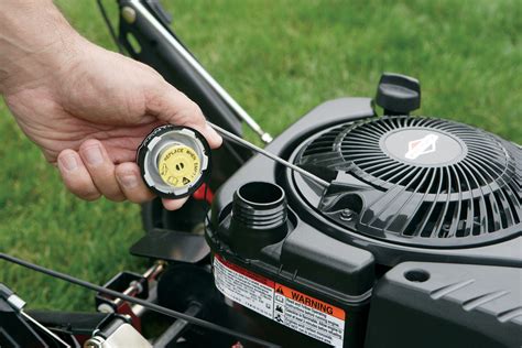 Vue rapprochée du moteur Briggs & Stratton 163cc monté sur l'Alpina BL51675