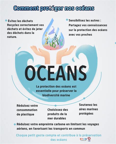 Infographie montrant les différentes synergies possibles pour la protection estivale