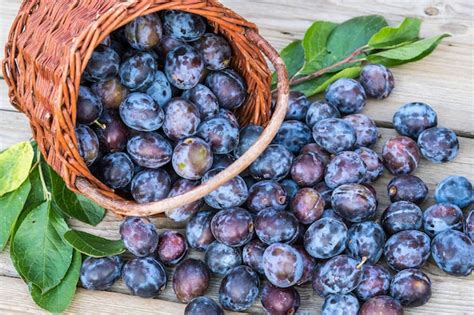 Photo d'une récolte de prunes variées dans un panier en osier