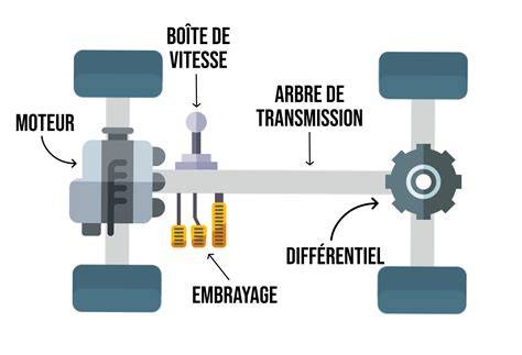 Schéma technique montrant la liaison entre l'arbre de transmission d'un coupe-bordure et une tête de coupe via un adaptateur
