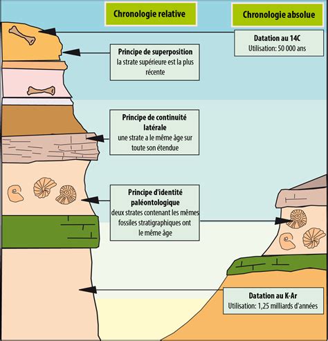 Schéma illustrant les différentes couches de drainage et les micro-organismes dans un composteur