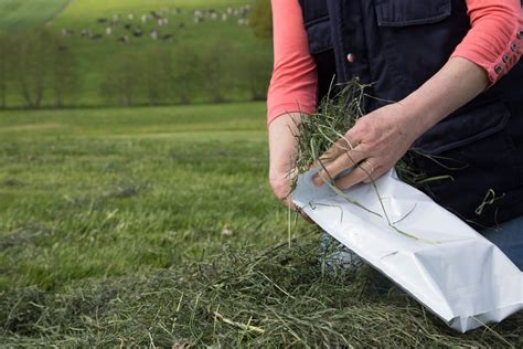 Diagramme représentant l'équilibre entre matière fraîche et matière sèche pour un compost réussi