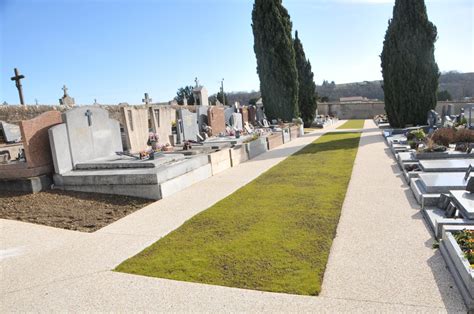 Cimetière ancien fortement végétalisé