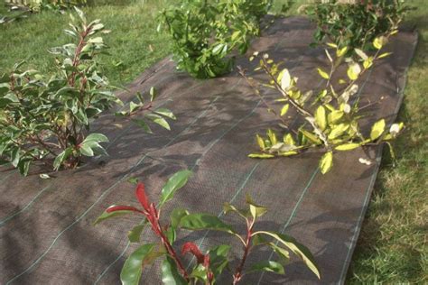 Illustration d'un jardin avec des toiles de paillage installées