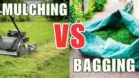 Comparaison mulching vs ramassage