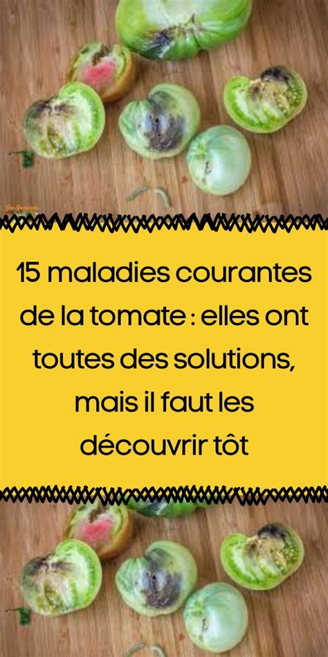 Tableau comparatif des maladies fongiques courantes de la tomate