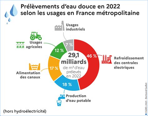 Graphique des besoins en eau du bougainvillier selon les saisons