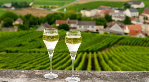 Bouteilles de champagne de vignerons avec un paysage de vignobles en arrière-plan