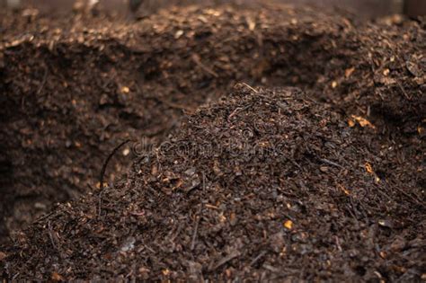 Compost mature
