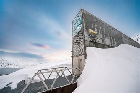 Schéma illustrant la structure souterraine du Svalbard Global Seed Vault avec ses chambres et le tunnel d'accès