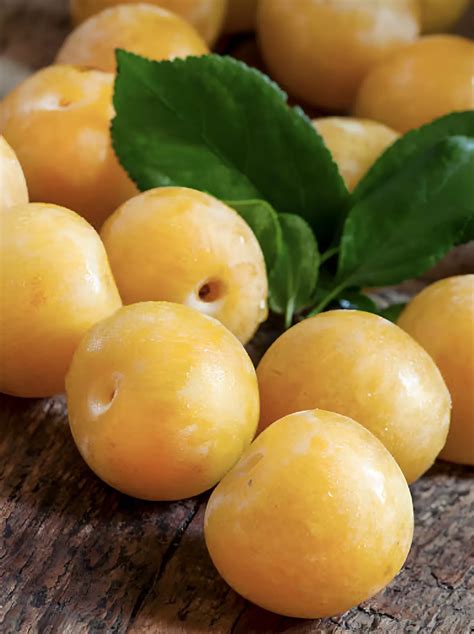 Gros plan sur des mirabelles