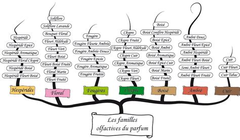 Schéma des familles olfactives