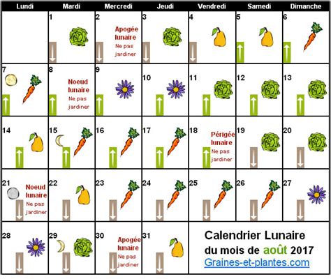 Infographie du calendrier lunaire pour le potager et le verger