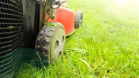 comparaison entre mulching et ramassage de l'herbe