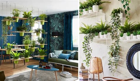une décoration de salon lumineuse intégrant des plantes grimpantes et des éléments naturels