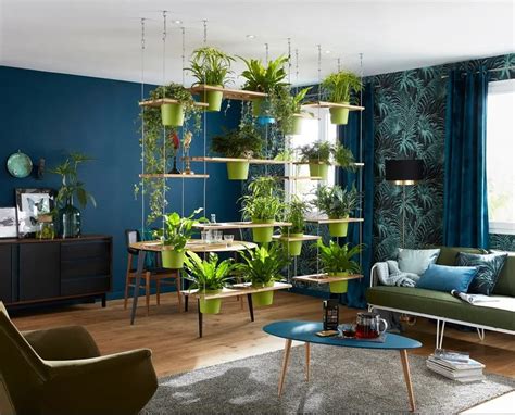 schéma illustrant la disposition des plantes dans un salon pour optimiser l'espace