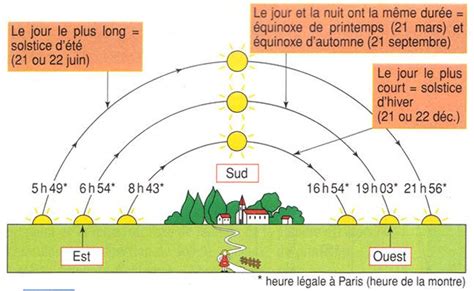 Schéma illustrant les besoins en espace et en ensoleillement des cucurbitacées
