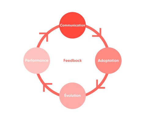 Infographie montrant le cycle de l'évaluation continue : observation, feedback et ajustement