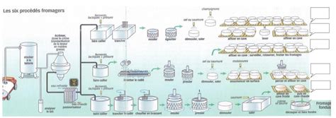 Schéma simplifié du processus de fabrication du Comté : réception du lait, emprésurage, soutirage, pressage et affinage