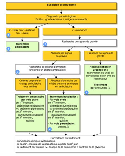 Diagramme des étapes de traitement préventif du prunier au fil des saisons